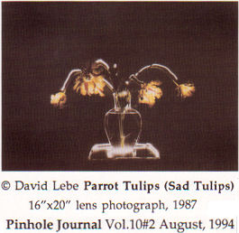 Parrot_Tulips__Sad_tulips__1987
